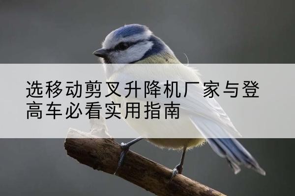 福泉电动升降机厂家-选移动剪叉升降机厂家与登高车必看实用指南