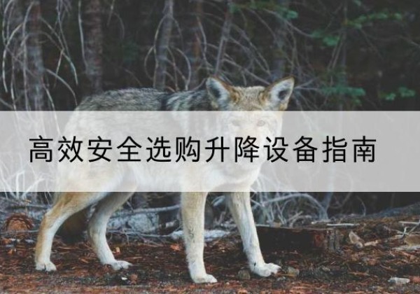 福泉升降货梯厂家推荐-*安全选购升降设备指南